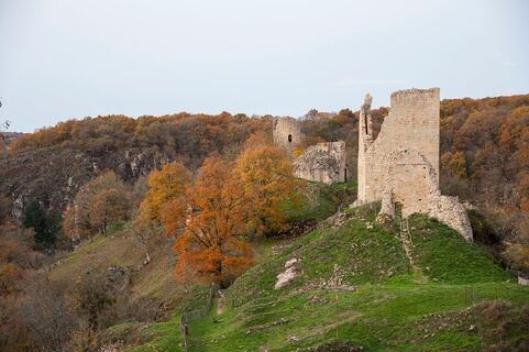 Karte