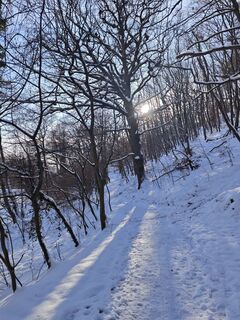 Foto de Katona Ferk Mariann a lo largo del recorrido