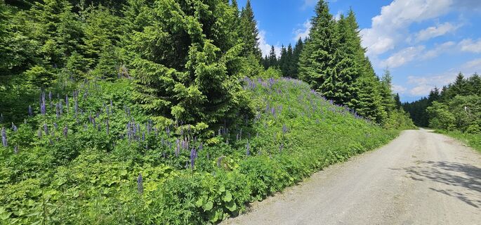 Fotografia z Michael Ganswind na trase