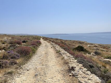 Photo de Sebastian Gassler le long du parcours