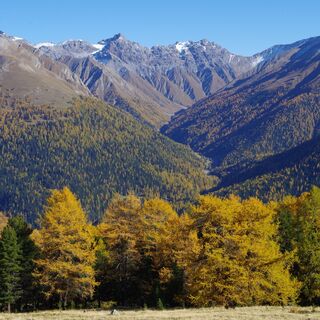 Blick in die Val Trupchun
