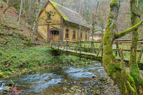 Die Burgmühle