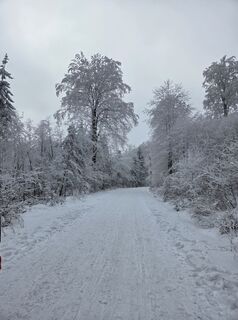 Foto de Frank Köhler 4 a lo largo del recorrido