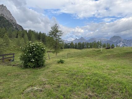 Fotografie z Garnweidner na trase