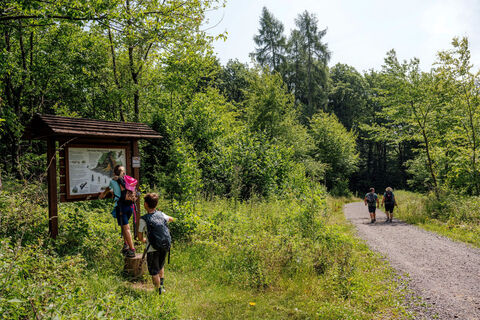 Bamster Wald Familie Manuela Meyer (3) web