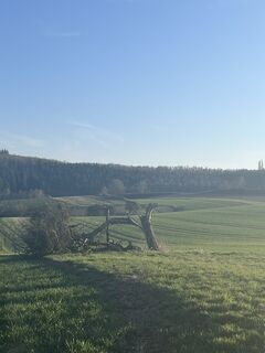 Foto von Guiolino1 entlang der Tour