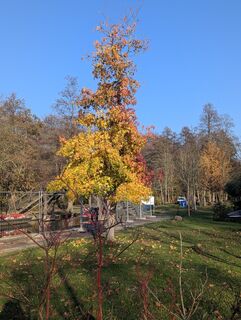 Photo de Mike Heinßmann le long du parcours