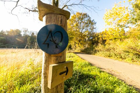 Blauer Waldpfad Lintzel