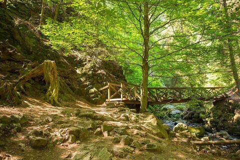 Ravennaschlucht