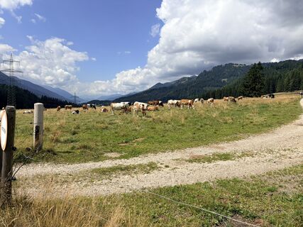 Foto von Alex Petz entlang der Tour