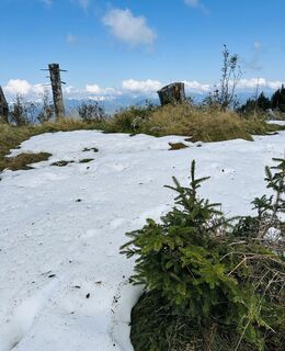 Foto von Herta Hauswirth entlang der Tour