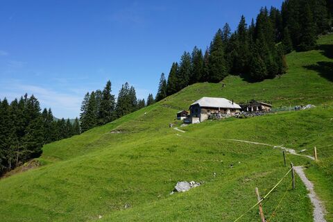 Alpwirtschaft Furgglen