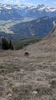 Fotografia z Chriz Ludwig na trase