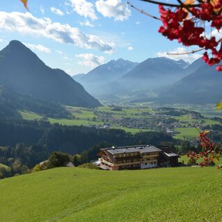 Pinzgerhof Ausblick