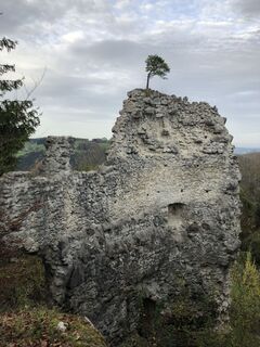 Foto von Carina Pfeiffer entlang der Tour