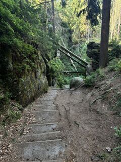 Photo de Erik Schwarz le long du parcours