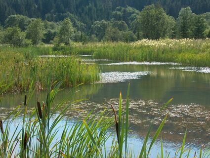 Hörfeldmoor