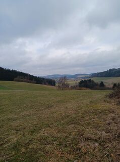 Fotografia z Burgim65 na trase