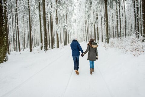 Winterwandern im Waldviertel