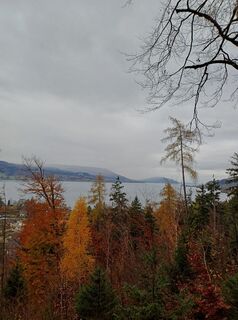 Zdjęcie z chrison wzdłuż trasy