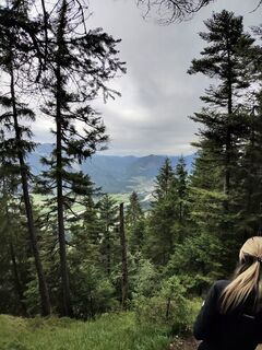 Fotografija s spletne strani Bergtroll na poti