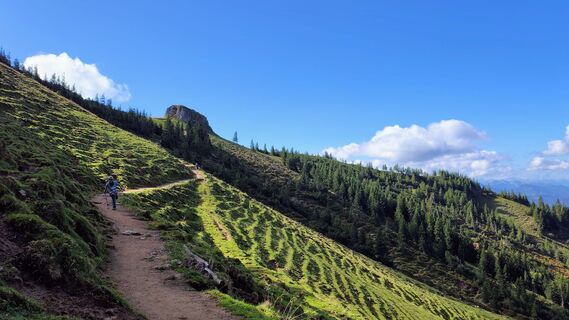 Photo de Gibi le long du parcours