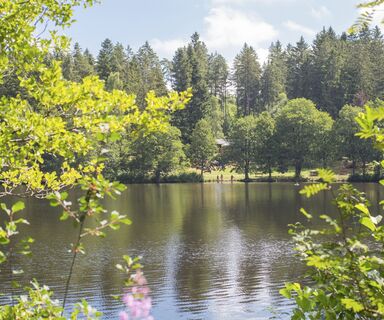 Schlüchtsee