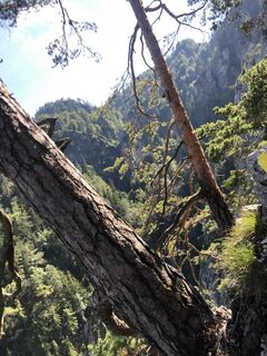 Foto von skibbeldiwapwap entlang der Tour