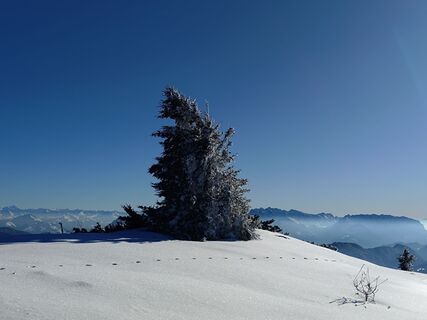 Foto da Lars Vogelbein lungo il tour