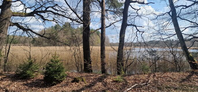 Foto von AlexanderBoos entlang der Tour