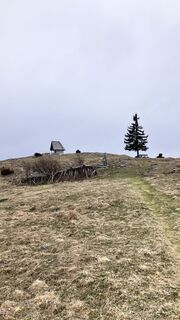 Fotografia z Robert Gerard na trase