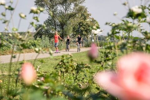 Radfahren entlang der Donau