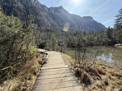 Zdjęcie z Moonlight13 wzdłuż trasy