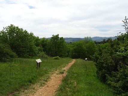 ADT_003401