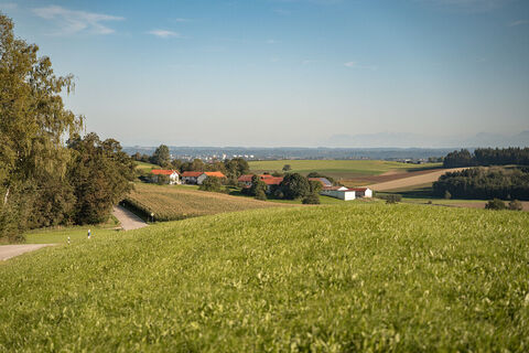 Strampelstrecke-62
