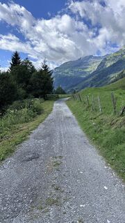 Zdjęcie z Mountain Cat ? ⛰️ wzdłuż trasy