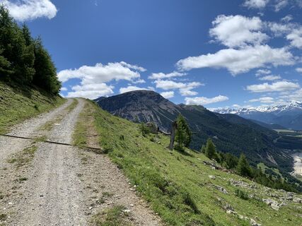 Photo de Daniel Marti le long du parcours