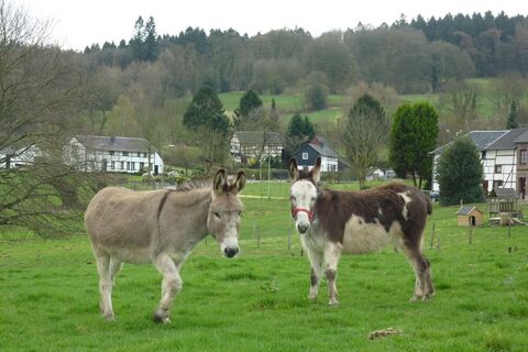 Drielandenroute-004