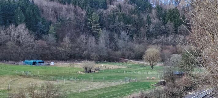 Foto von Edit Szoboszlay entlang der Tour