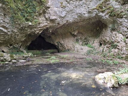 Foto von nordbergschnecke entlang der Tour