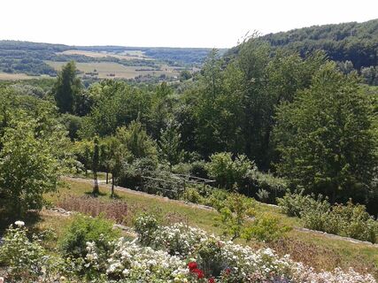 Blick auf den Garten von Haus Lochfeld - ein Garten mit Geschichte