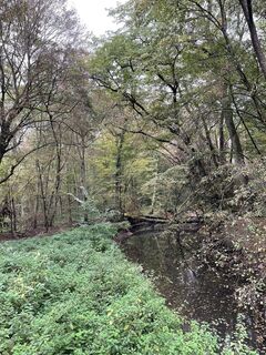 Foto von simeon krapp entlang der Tour