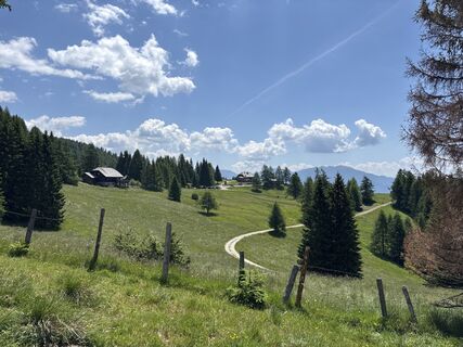 Foto von julchen entlang der Tour