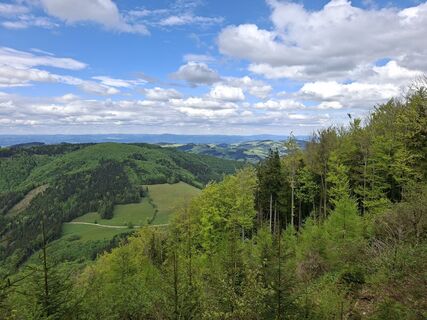 Foto von ferdinand wieländer 1 entlang der Tour