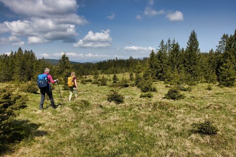 Landschaft