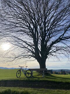 Foto von Sven Krieblin entlang der Tour