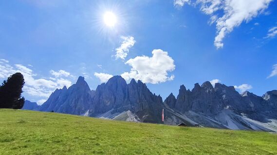 Foto von walrei entlang der Tour