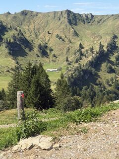Foto von Andreas Geselle entlang der Tour