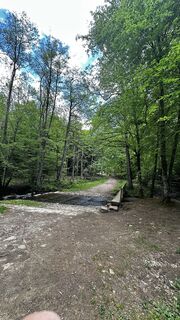 Photo de Fabrice Neulens le long du parcours