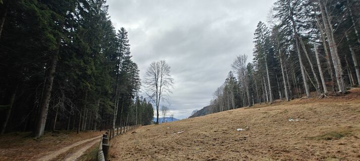 Fotografija s spletne strani Daniele Spezia na poti